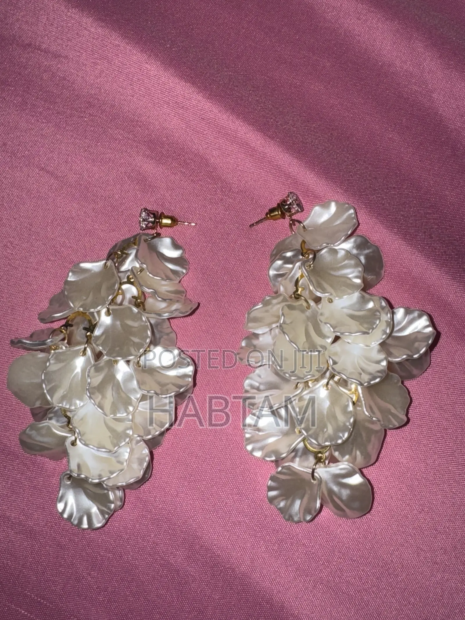 Earring Jewelry