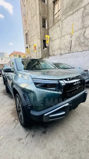 New BYD Leopard 3 2025 Gray
