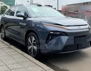 New BYD Tang EV 2025 Gray
