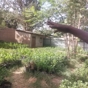 1bdrm House in Oromia, East Shewa for sale