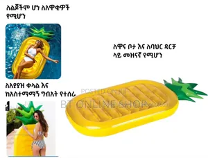 Inflatable Pool Air Mattress