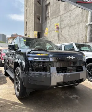 New BYD Leopard 7 2025 Black