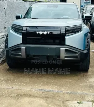 New BYD Leopard 3 2025 Black