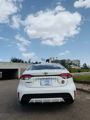 Toyota Corolla LE 2023 White
