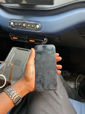 Apple iPhone 16 Pro Max 256 GB Silver