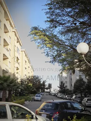 3bdrm Apartment in Enyi Real Estate, Bole for sale