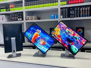 24 Inch Dell