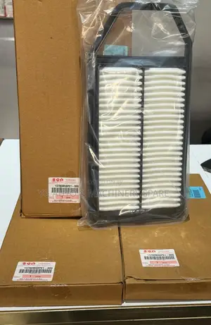 Oem Original Sgp Suzuki Dzire Air Filter