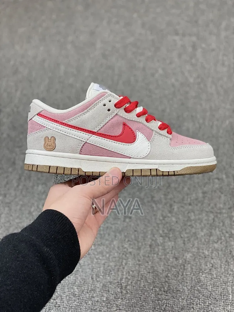 Nike Dunk Shoes