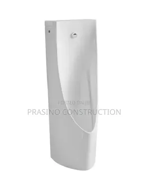 Toilet Seat And Urinal