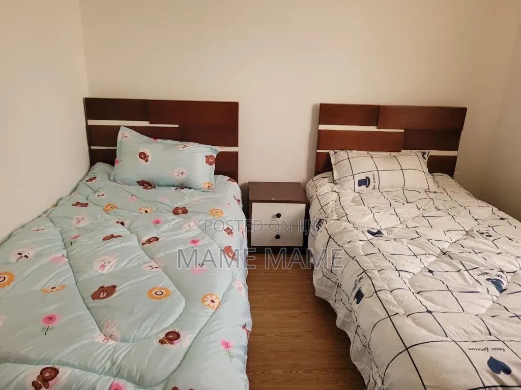 Furnished 4bdrm Apartment in Addis Abeba, Bole for rent