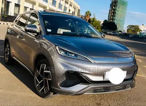 BYD Yuan Plus 2025 Gray