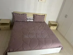 Furnished 2bdrm Apartment in Addis Abeba, Bole for rent