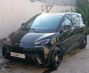 New BYD Seagull 2025 Black