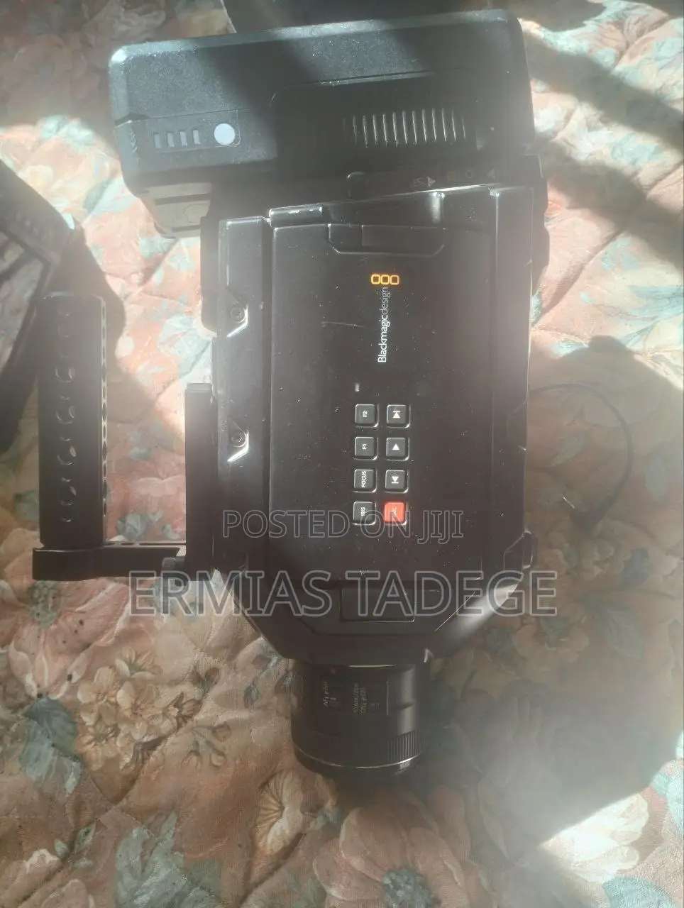 Black Magic Ursa