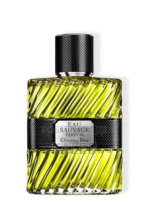 Christian Dior