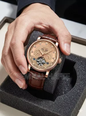 Tevise Watch Men's Mechanical Watch High-Grade Fashion
