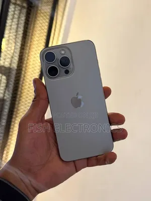 Apple iPhone 15 Pro Max 256 GB Gray