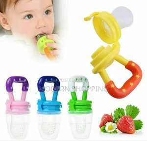 Baby Fruit Feeder