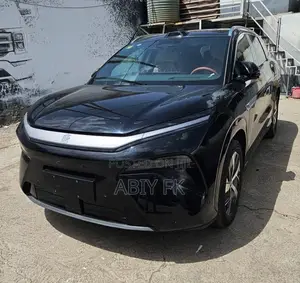 New BYD Tang EV 2025 Black