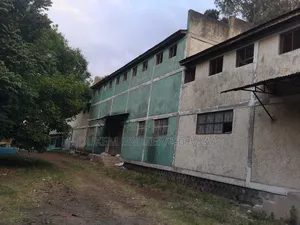 Warehouse and 10000 SQM