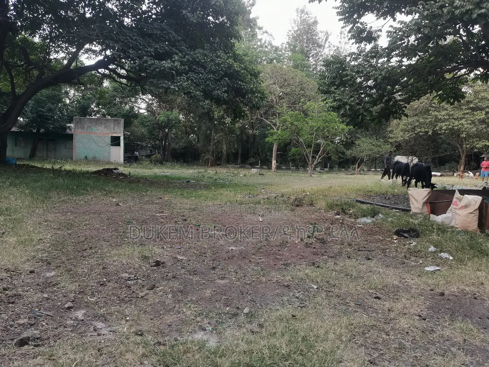Warehouse and 10000 SQM