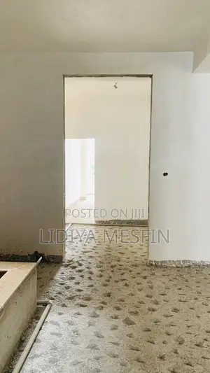 3bdrm Apartment in B Group, Lideta for sale