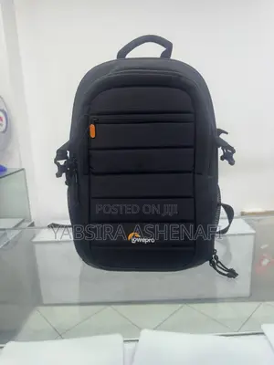 Lowepro Camera Bag