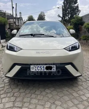 BYD Seagull 2024 Brown
