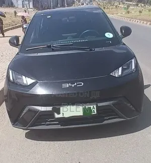 BYD Seagull 2024 Black