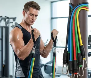 Resistance Band Set, Tension Rope, Climbing Hook, Foam Handle, Door