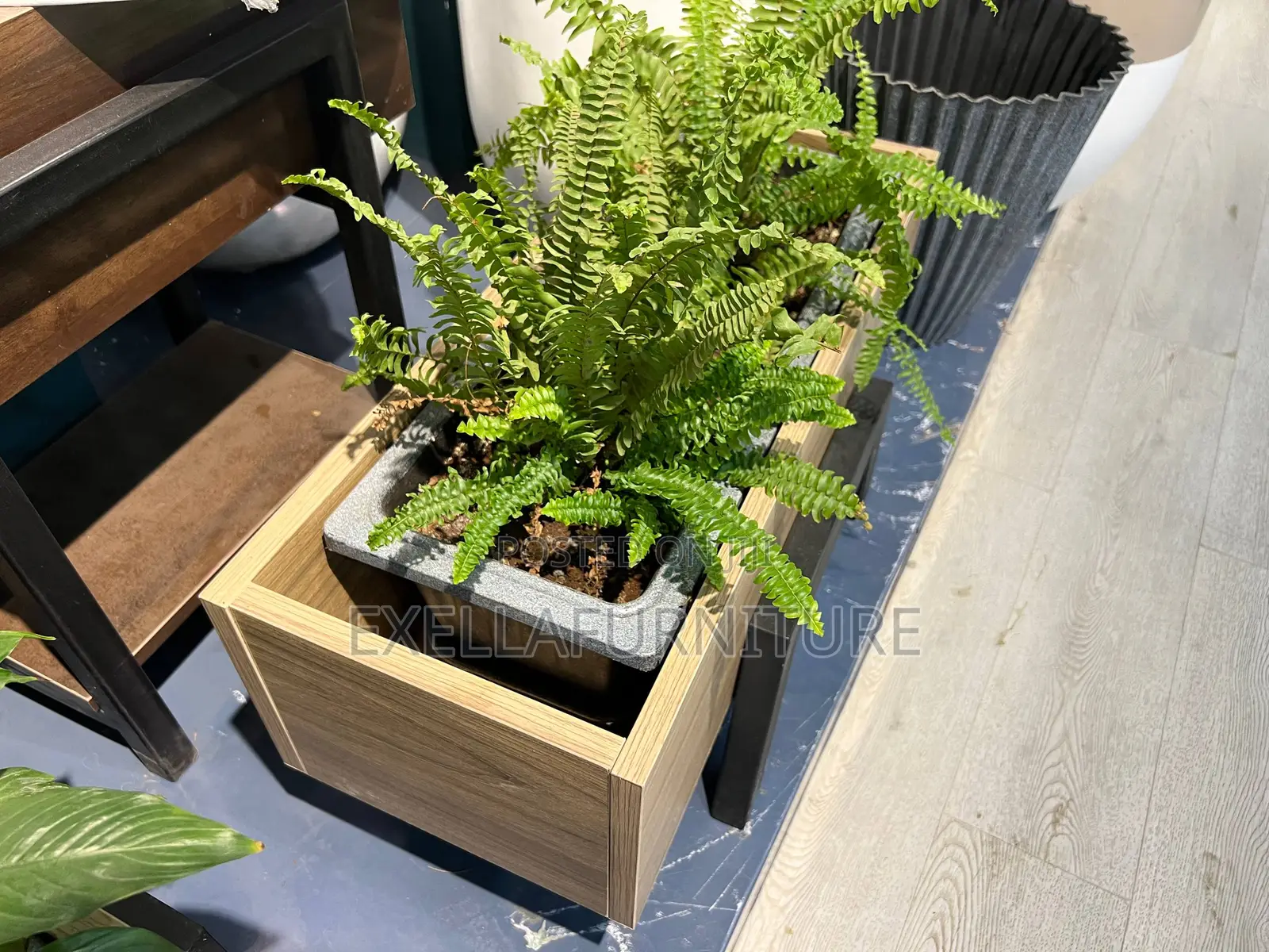 Mfd Planter , የ Mdf ፕላንተር