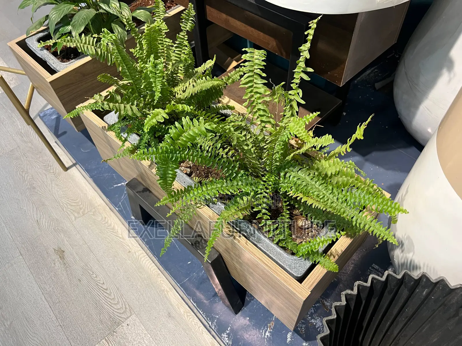 Mfd Planter , የ Mdf ፕላንተር