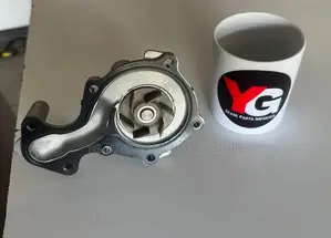 Ford Ecosport Water Pump