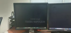 Dell 19 Inch Monitors