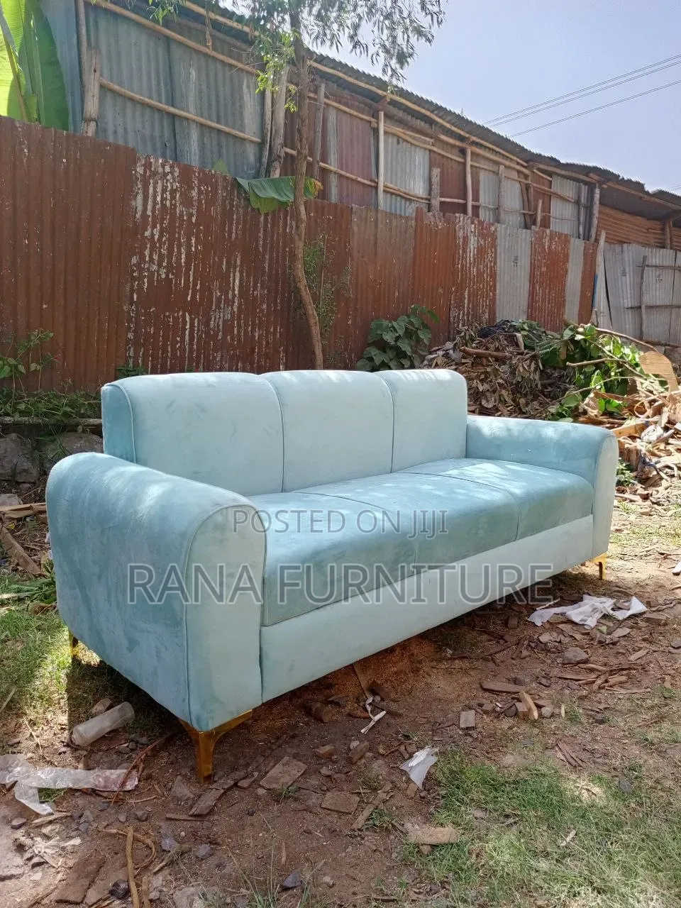 Forest Green Color Sofa