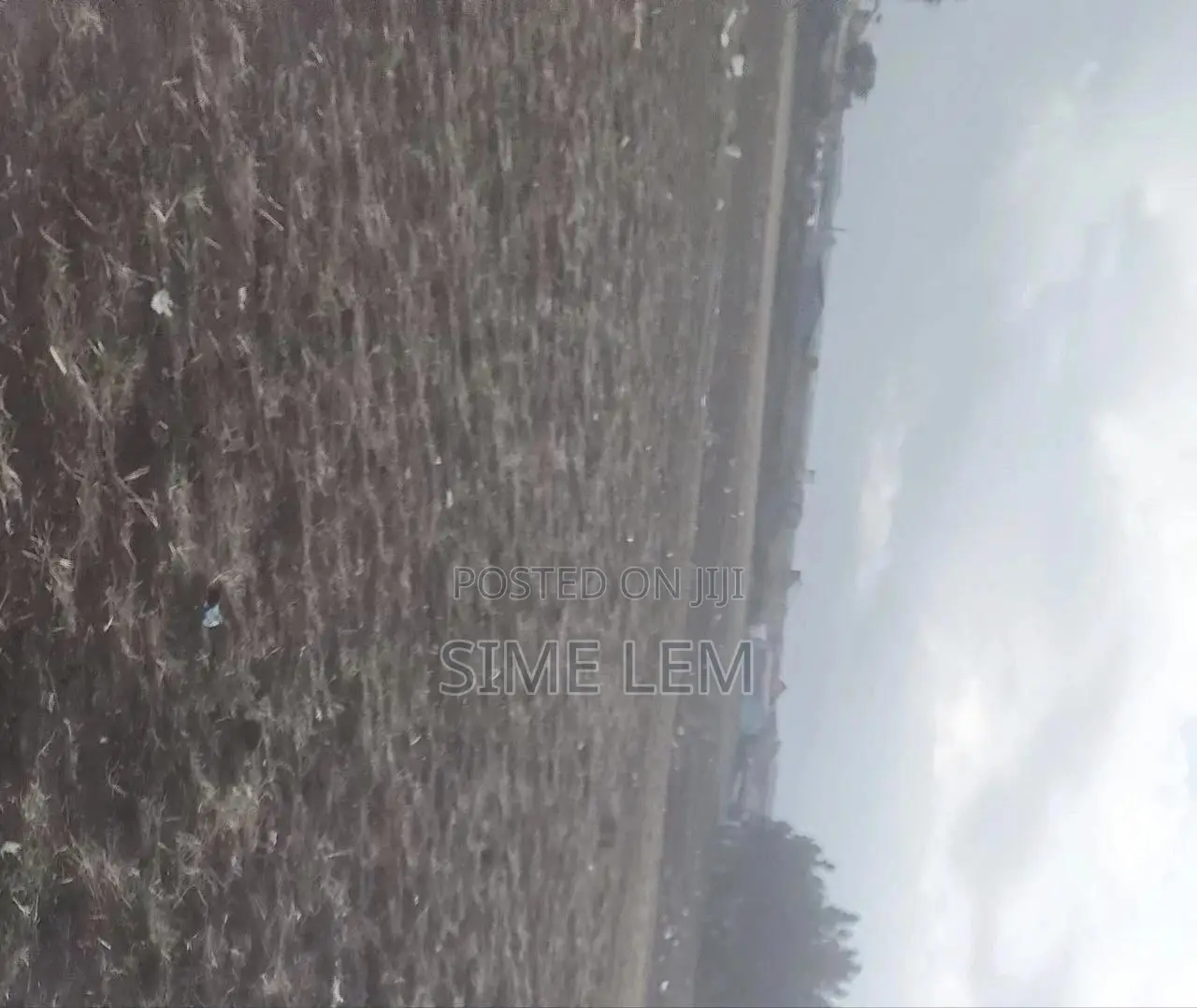 Industrial Land