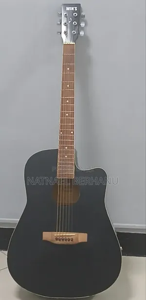 Acoustic Guitar