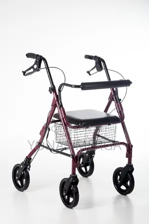 Mobility Rollator Walker霜攰delivered by a Trusted Supplier–Track Online