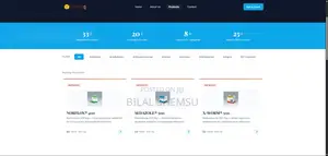 Website Development
