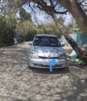 Toyota Platz 2002 Silver