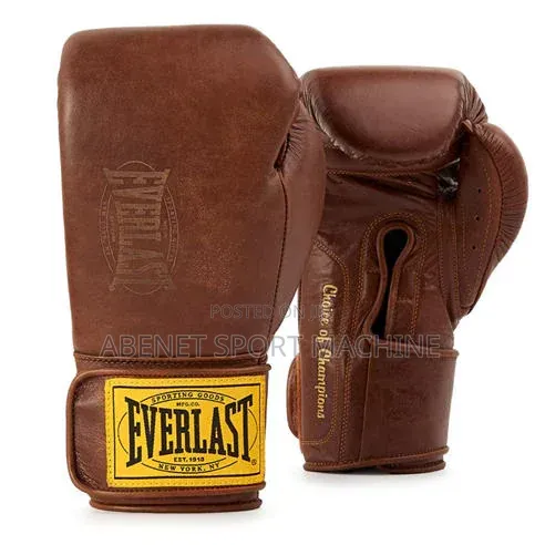 New Everlast Boxing Gloves