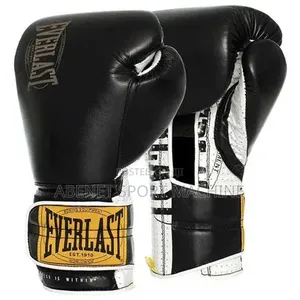Everlast Boxing Gloves