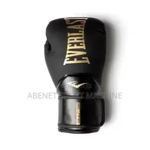 Everlast New Arrived Punching Gloves