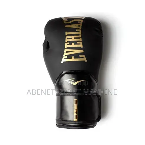 Everlast New Arrived Punching Gloves
