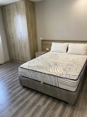 Furnished 1bdrm Apartment in Bole for rent