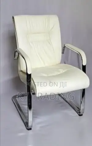 Leather Gust Chair _ Color Option