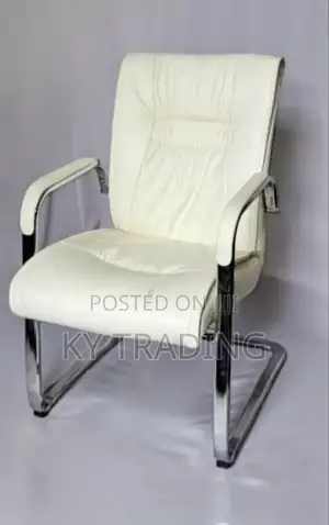 Leather Gust Chair _ Color Option