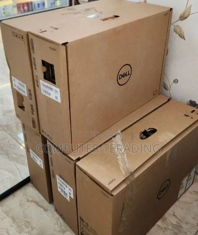 Dell Monitore