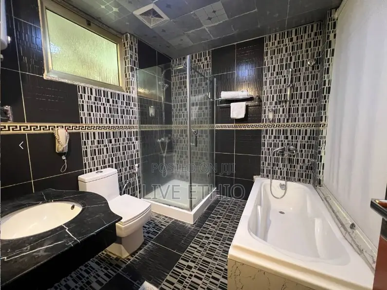 Furnished 1bdrm Apartment in Bole for rent